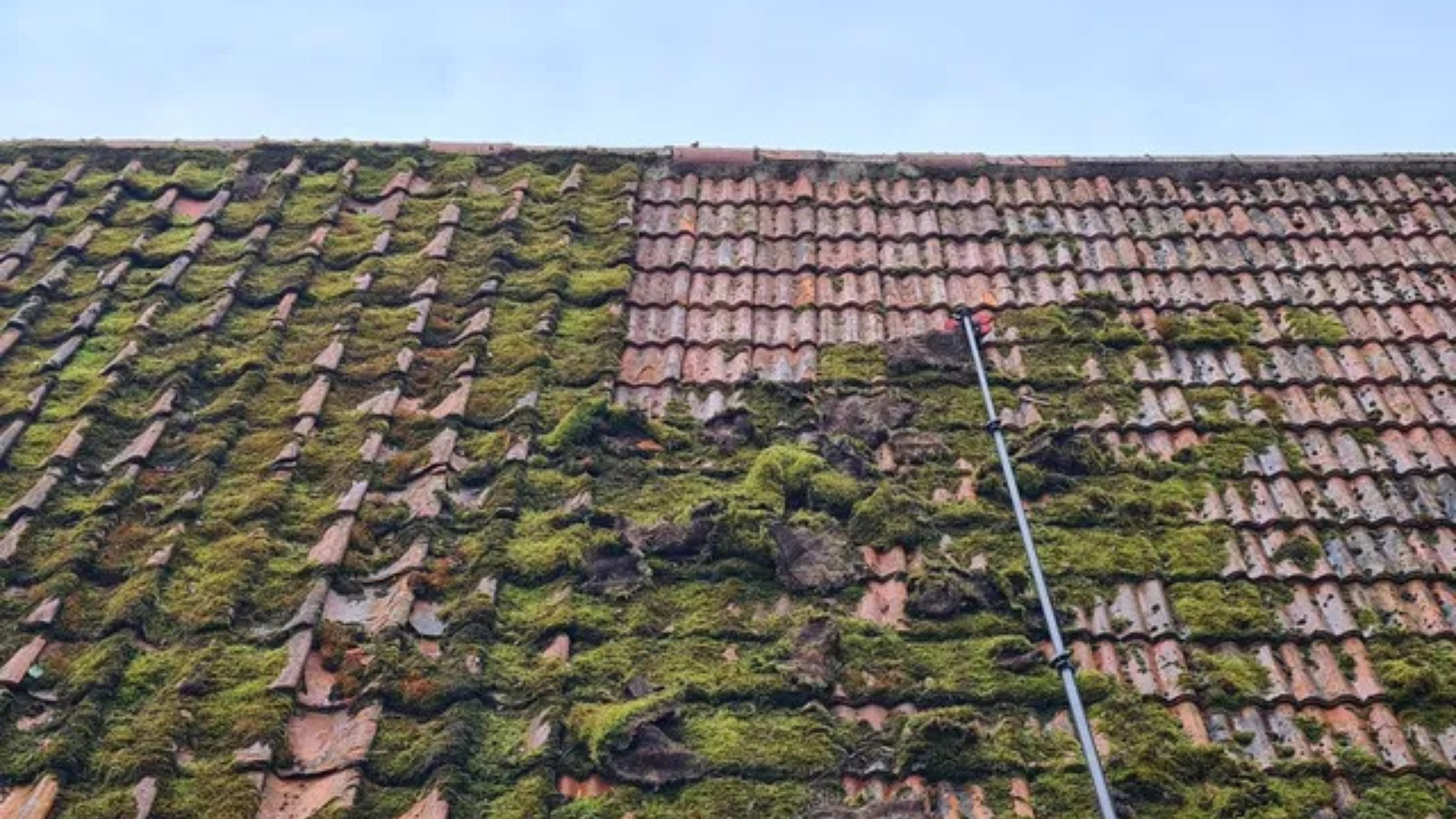 A roof covered with thick, green moss, showing a neglected and weathered appearance. The moss is visible along the shingles, indicating damp conditions, and a need for cleaning and maintenance.