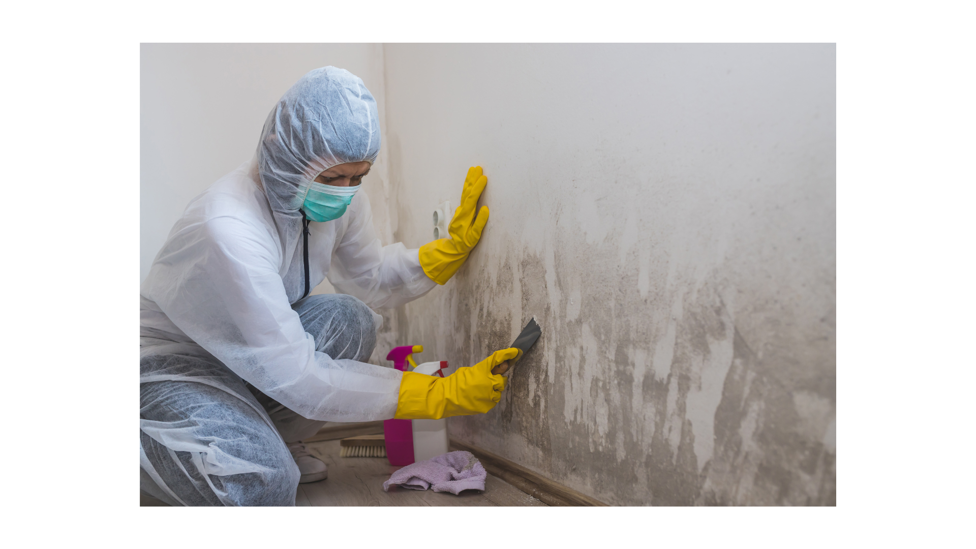 Read more about the article Black Mold on Stucco: How to Safely Remove It and Prevent It from Coming Back