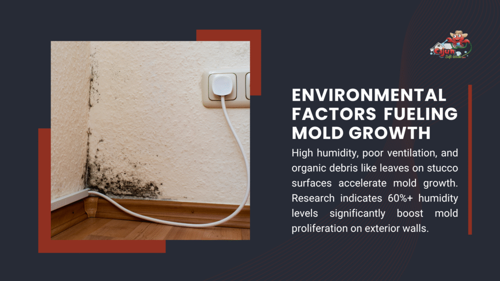 Mold on wall near power outlet, with text on environmental factors fueling mold growth, including high humidity, poor ventilation, and organic debris, with 60%+ humidity boosting proliferation.