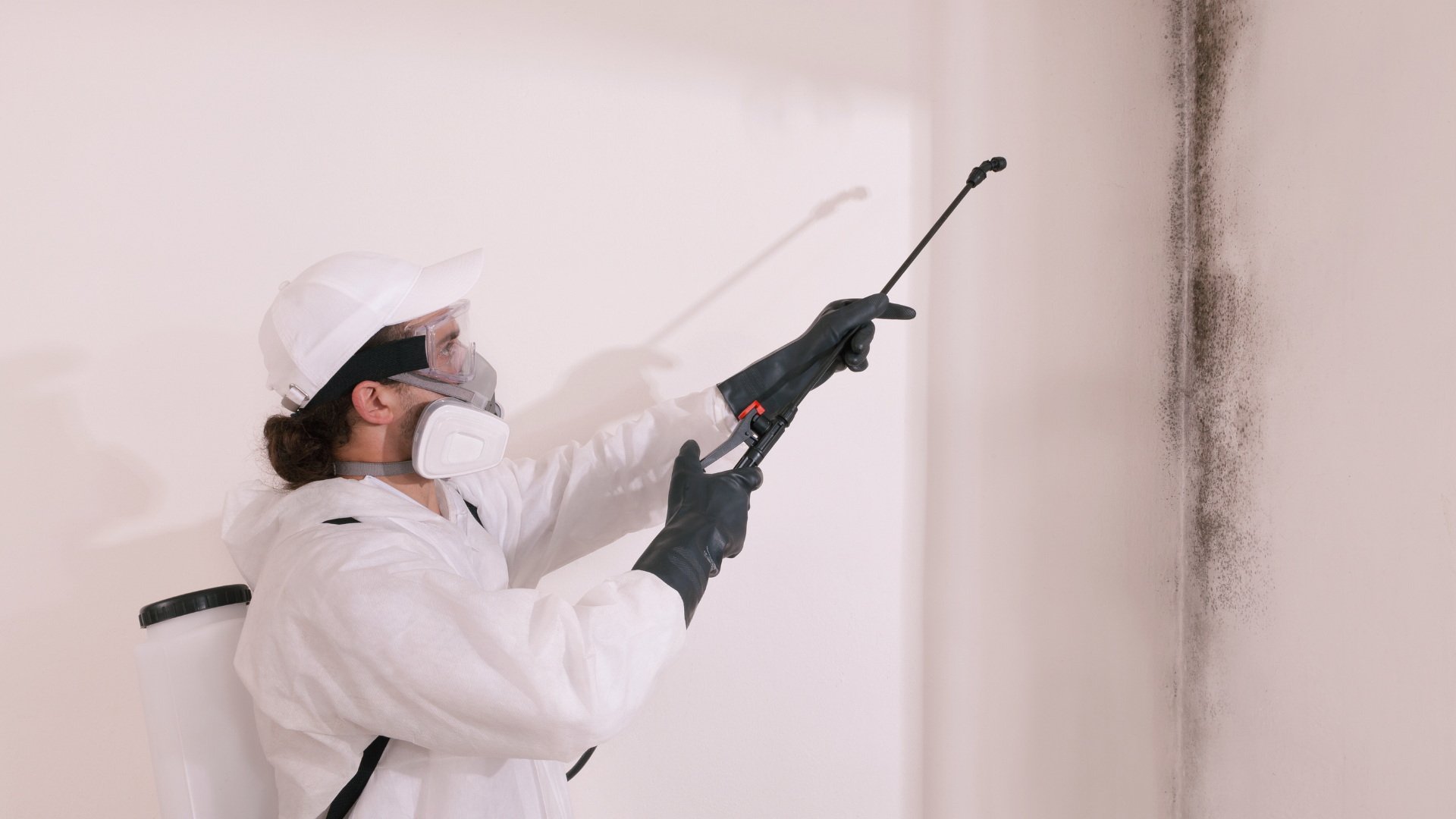 How to Remove Mold from Stucco?