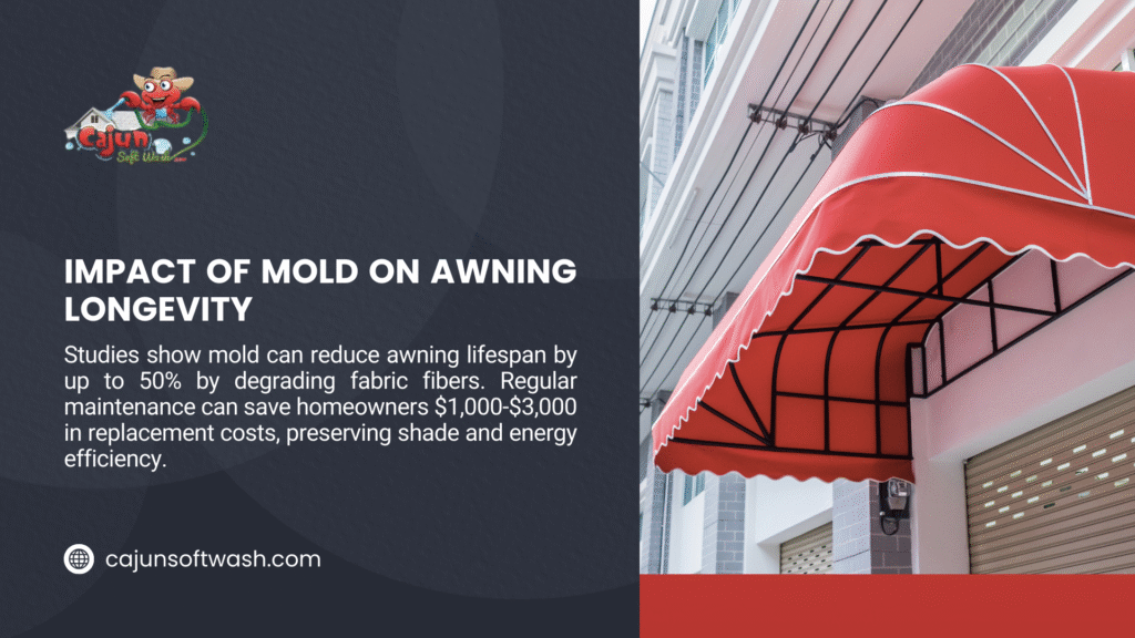 "mold on awning longevity" showing a red awning on a building, with text noting mold can reduce lifespan by up to 50% and regular maintenance saves $1,000-$3,000.