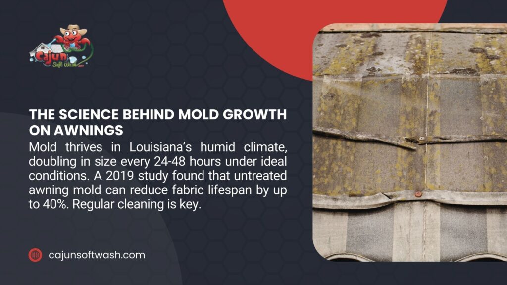 A neglected awning with mold growth, thriving in Louisiana's humid climate, doubling in size every 24-48 hours and reducing fabric lifespan by up to 40%.