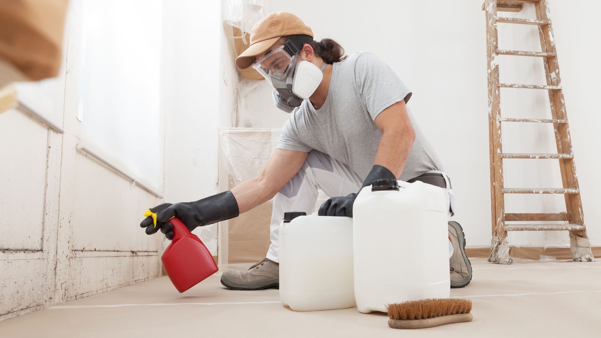 Black Mold vs Mildew: How to Clean Each?