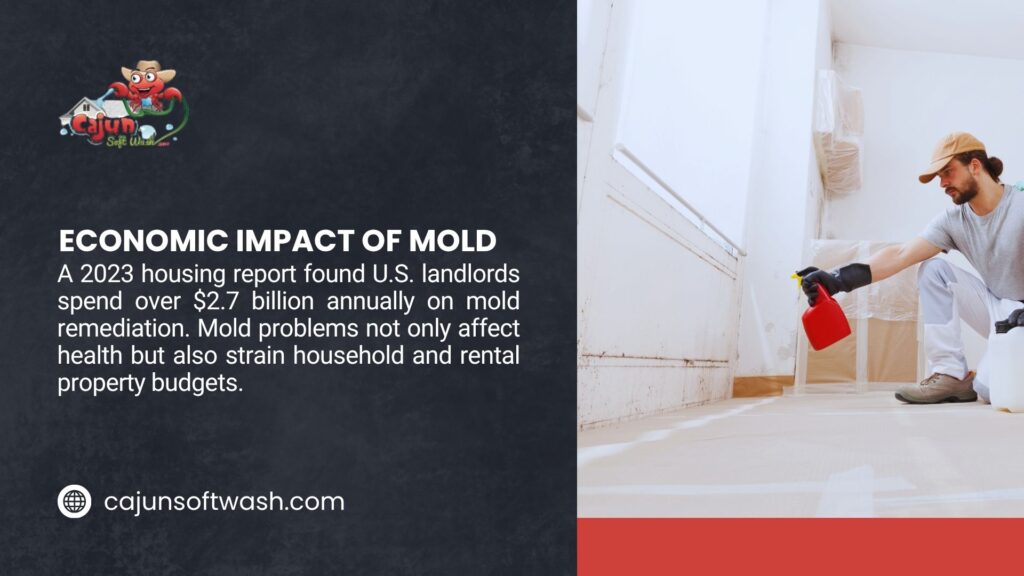 Man with a flashlight inspecting a damp basement corner with mold, alongside text citing a 2025 EPA report linking 70% of U.S. homes to mold issues due to humidity, urging regular checks.