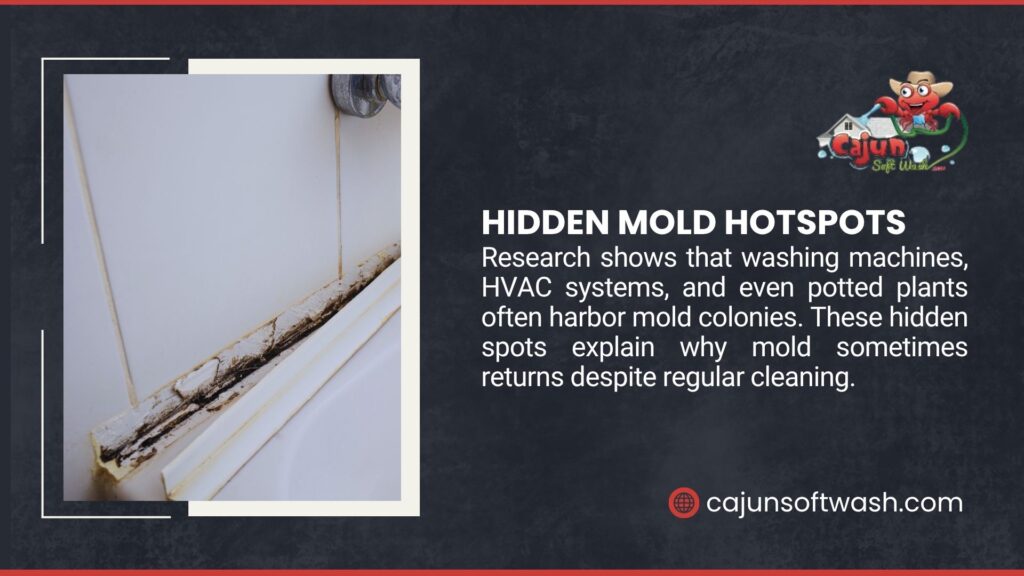 Wall with mold growth near a vent, alongside text noting hidden mold hotspots like washing machines, HVAC systems, and potted plants, explaining mold's return despite regular cleaning.