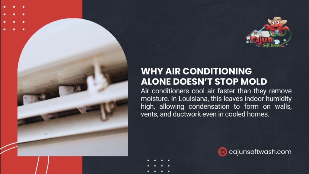 Why Louisiana homes get moldy - Close-up of dirty, moldy air conditioning vent. Text explains "Why Air Conditioning Alone Doesn't Stop Mold": AC cools faster than it dehumidifies, leaving high humidity in Louisiana homes, causing condensation and mold. Cajun Soft Wash branding.