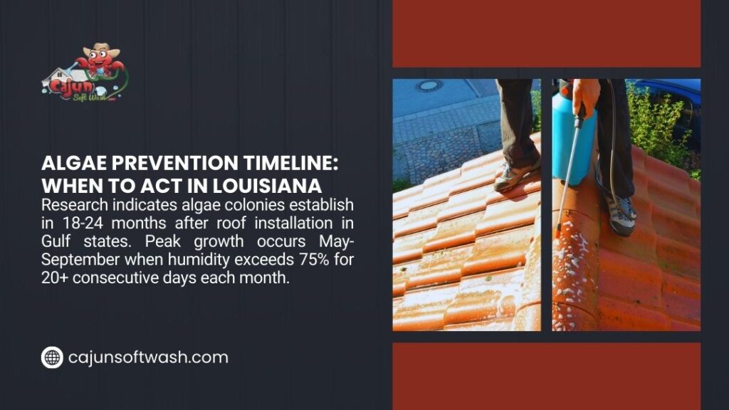 Professional cleaning algae-stained roof in Louisiana showing prevention timeline and treatment process