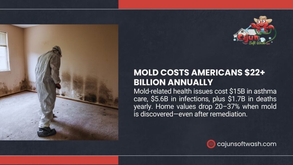 Mold remediation specialist in hazmat suit inspecting severe wall damage showing $22+ billion annual mold costs in U.S. healthcare and property.
