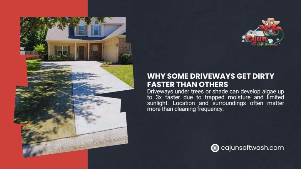 Shaded residential driveway with tree shadows showing why some driveways get dirty faster due to moisture and limited sunlight.
