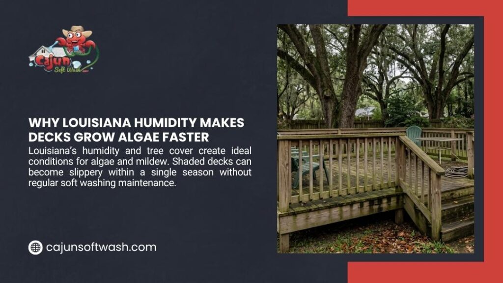 Cajun Soft Wash graphic "Why Louisiana Humidity Makes Decks Grow Algae Faster" showing a shaded wooden deck surrounded by trees, highlighting rapid algae and mildew growth in humid conditions.
