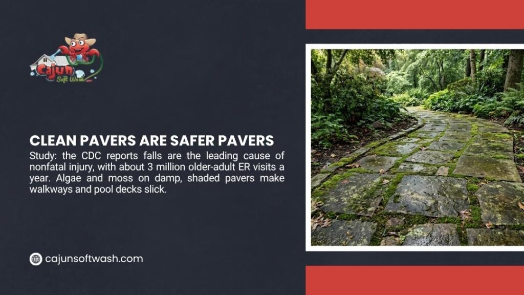 Stone paver walkway covered in algae and moss in a shaded garden, showing how slick pavers create fall hazards and why clean pavers are safer.